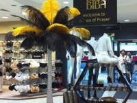 black and gold feathers