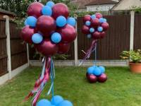 balloon-topiarys-whu