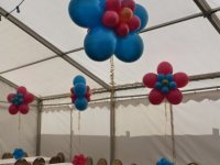 balloonflowerswildberryandteal-copy-jpg