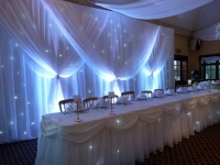 grecian backdrop set with twinkle lights and uplighters - Copy