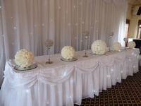 starlight backdrop and table skirt